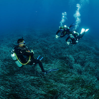PADI Open Water Diver Course (from Chania)