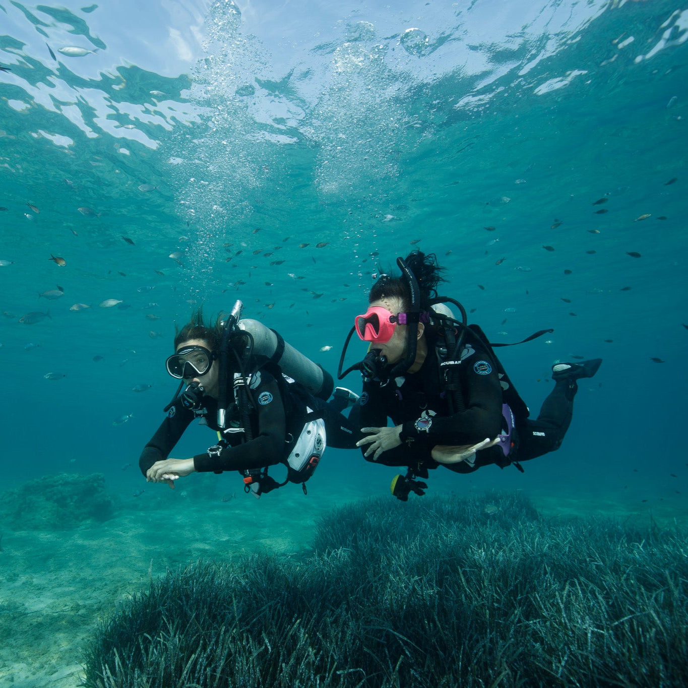 CHANIA -PADI Discover Scuba Diving (from Crete)